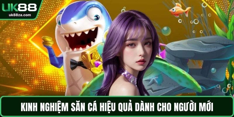 Kinh nghiệm săn cá hiệu quả dành cho người mới