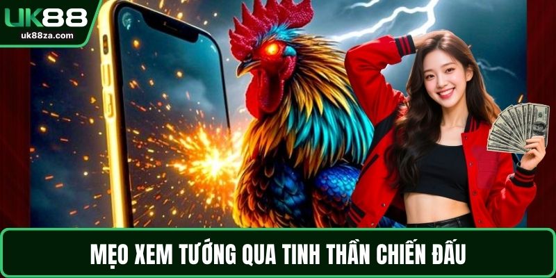 Cách Chọn Gà Chọi Chuẩn - Kinh Nghiệm Từ Các Sư Kê 2 Mẹo xem tướng qua tinh thần chiến đấu