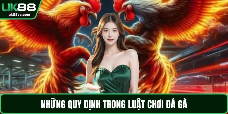 Đá Gà Trực Tiếp – Bộ Môn Đầy Tính Chiến Thuật, Hấp Dẫn 2 Những quy định trong luật chơi đá gà